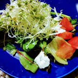 スプラウト
